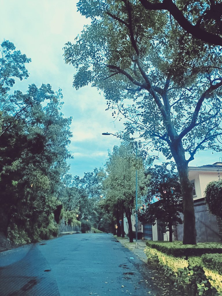 <a href="/MHcesac/">MH CESAC</a> Luminaria fundida frente a Bosque de Manzanos 87. Bosques  de las Lomas.