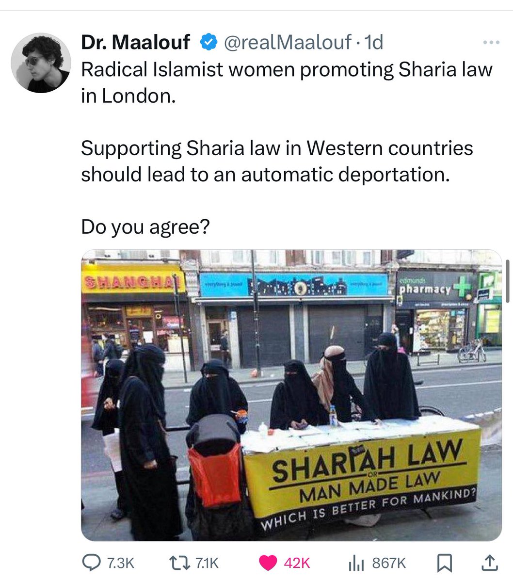 Seattle Dreamer tweet media