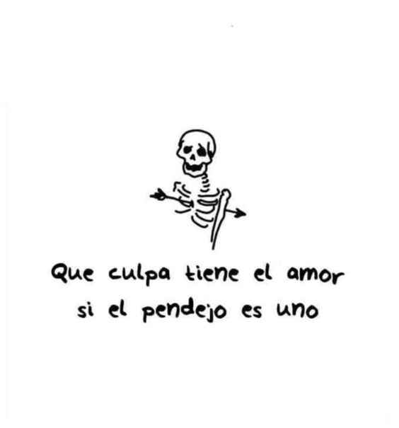 Aleida Suero (@aleida_suero) on Twitter photo 