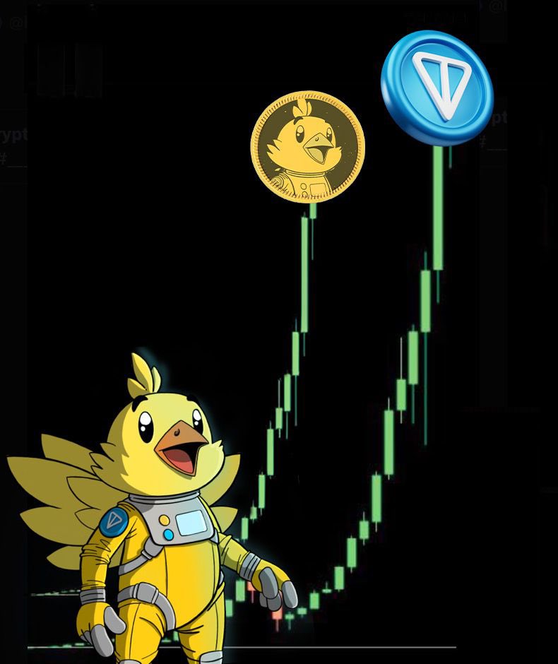 $TBIRD tweet media