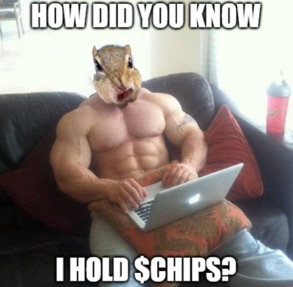solscape tweet media