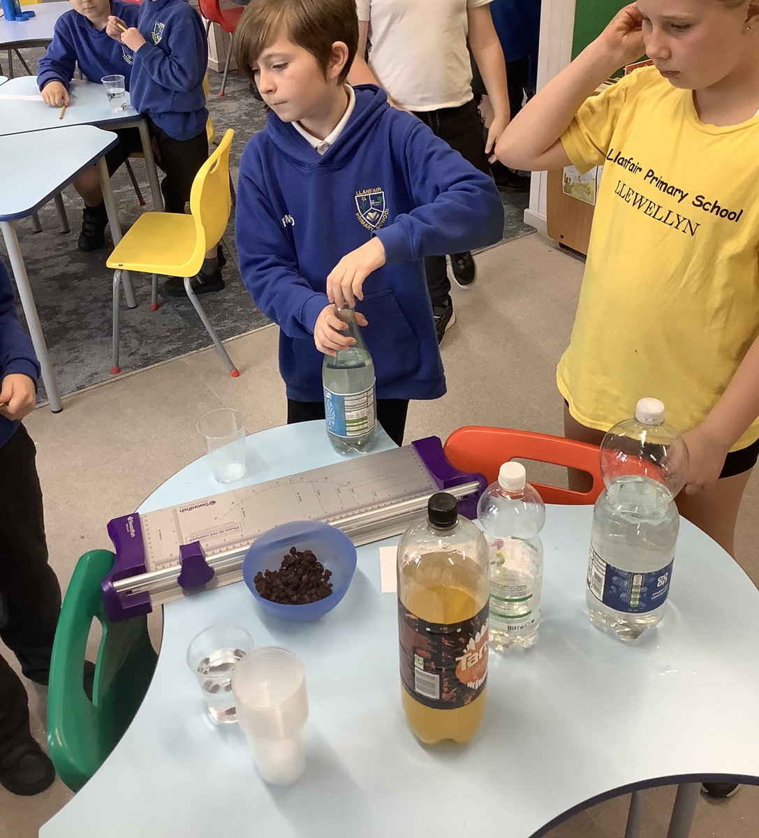 Llanfair Primary School tweet media