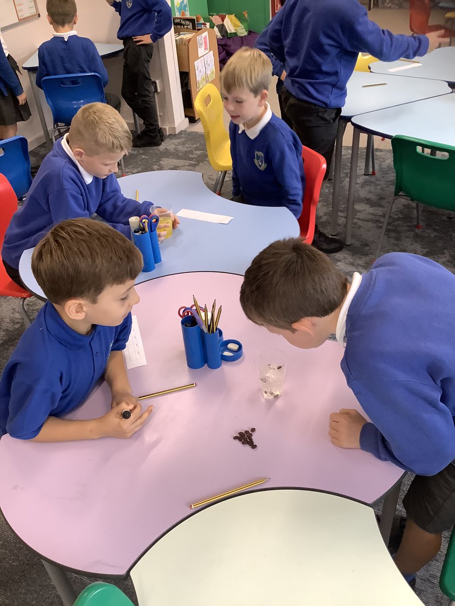 Llanfair Primary School tweet media