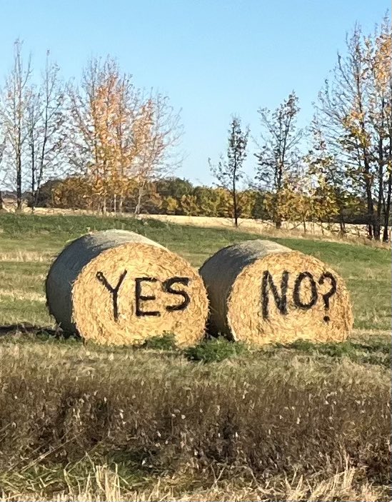 Can we make this go viral ?
<a href="/ctvedmonton/">CTV Edmonton</a> <a href="/GlobalEdmonton/">Global Edmonton</a> <a href="/CBCEdmonton/">CBC Edmonton</a> #date #love #takeachanche