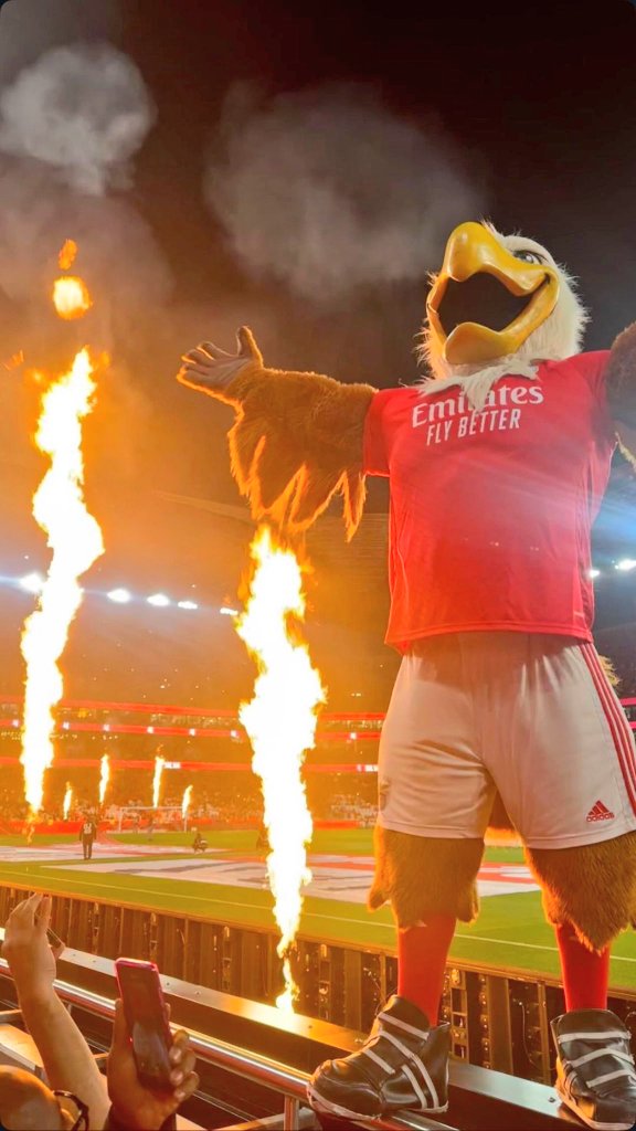 Benfica Pictures That Go Hard (@benfica_go) on Twitter photo 