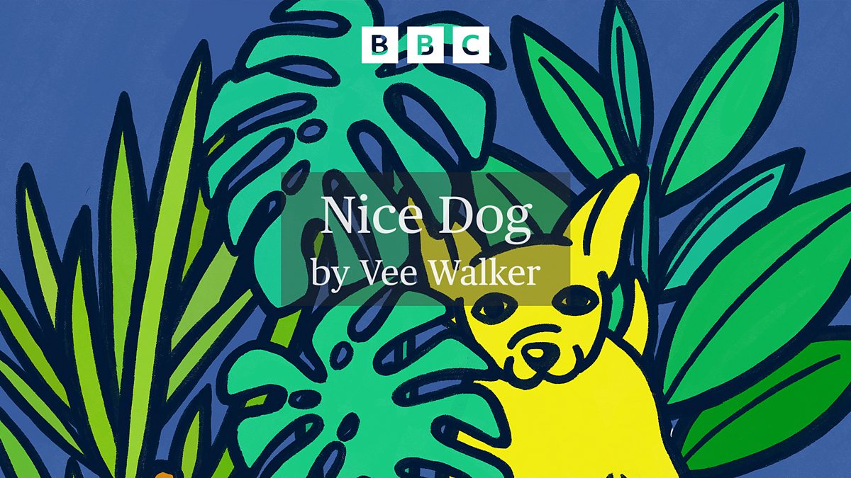 Kashi House CIC (@kashihouse) on Twitter photo Amazing news! We are pleased to announce that ‘Nice Dog’, a short story by Kashi House author <a href="/veewalkerwrites/">@veewalkerwrites 🙏🌹</a>, has been shortlisted for BBC's National Short Story Award!
Listen to it on <a href="/BBCSounds/">BBC Sounds</a>: bbc.co.uk/sounds/play/m0…
The winner will be announced live on <a href="/BBCRadio4/">BBC Radio 4</a>'s Amazing news! We are pleased to announce that ‘Nice Dog’, a short story by Kashi House author <a href="/veewalkerwrites/">@veewalkerwrites 🙏🌹</a>, has been shortlisted for BBC's National Short Story Award!
Listen to it on <a href="/BBCSounds/">BBC Sounds</a>: bbc.co.uk/sounds/play/m0…
The winner will be announced live on <a href="/BBCRadio4/">BBC Radio 4</a>'s