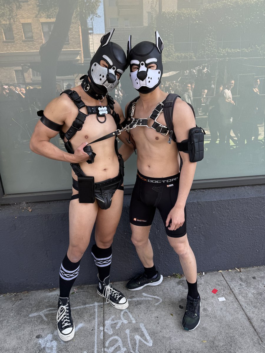 Just 2 dumb pups at Folsom 🐶🐯 I think i need to put a collar on this one 😈 

onlyfans.com/bestboyholoxxx