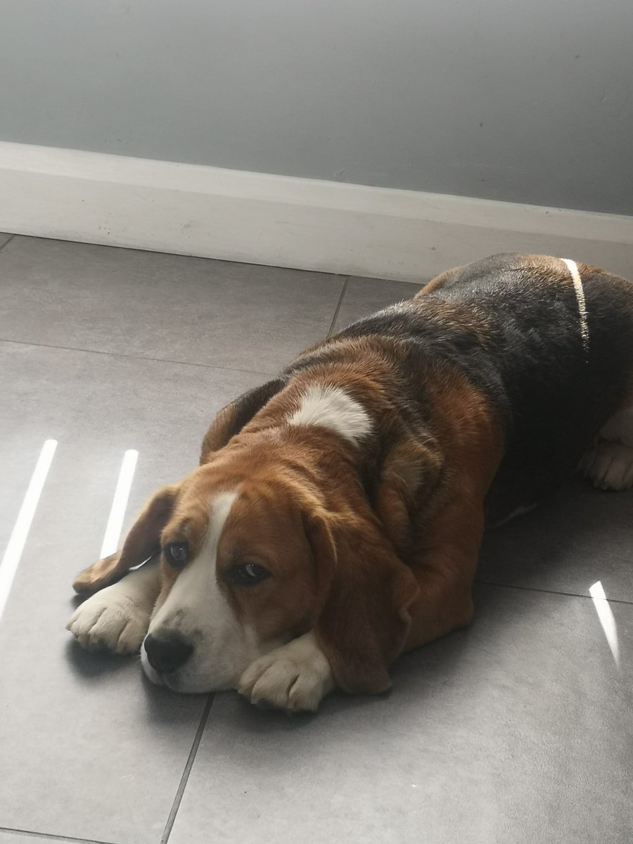 Sam McCreery tweet media