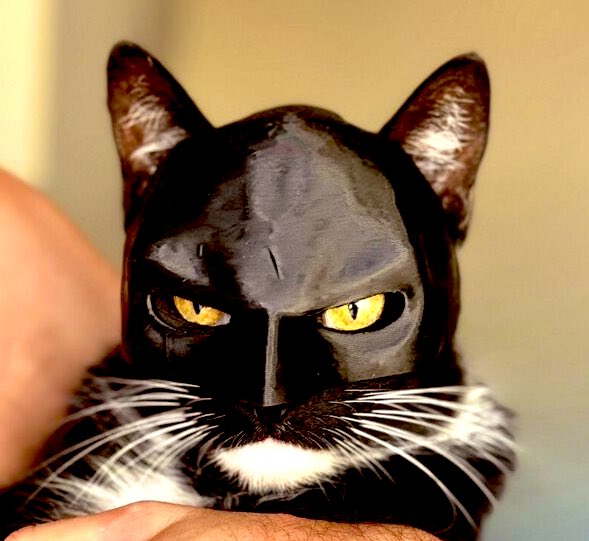 JayMan22Live's tweet photo. The hero we need,CATMAN cowl print in progress! 

https://t.co/C3HXAYjXsa https://t.co/9ki3P795Ca