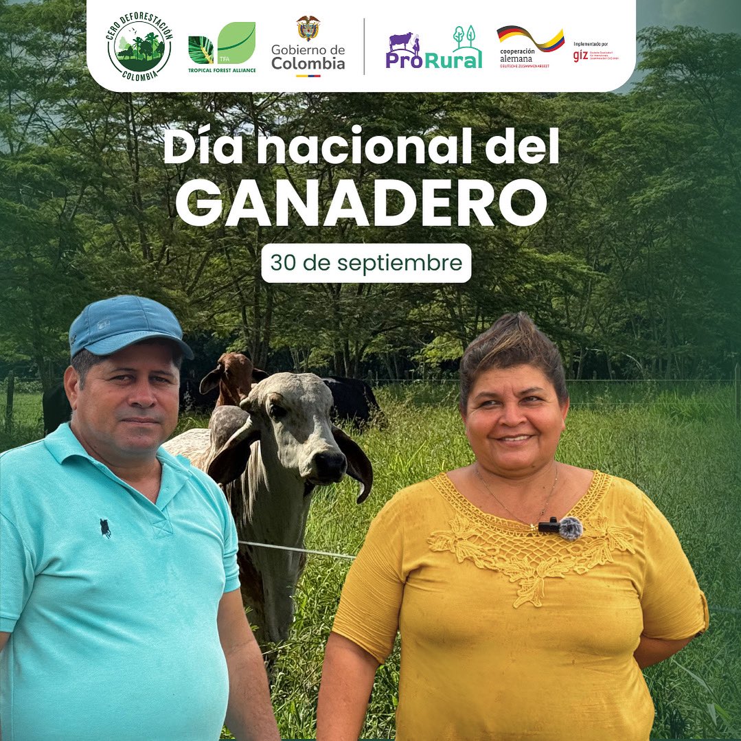 Acuerdos Cero Deforestación Colombia tweet media