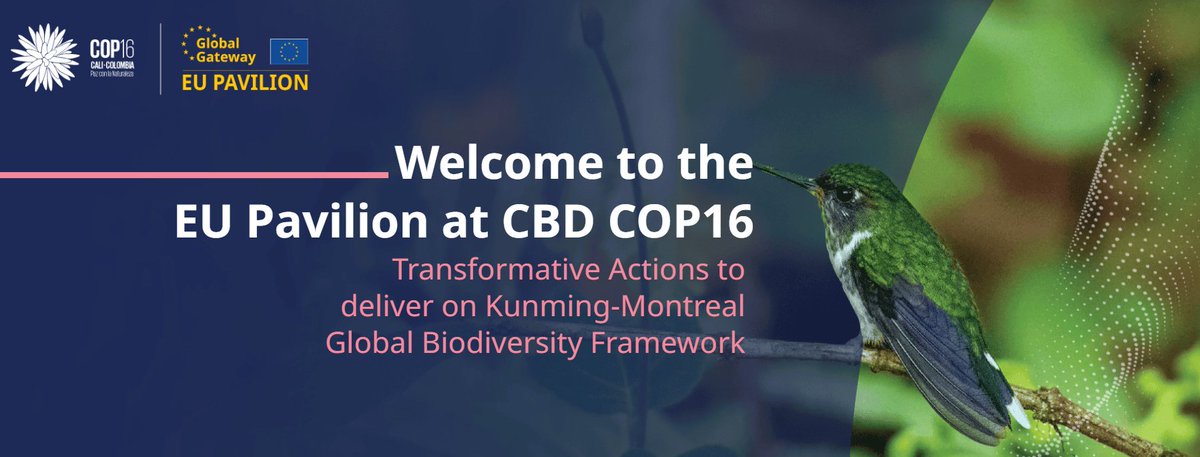 GregoireDubois's tweet photo. The (rich) programme of the EU Pavilion at CBD COP16  is out with around 70 side events on the top of those proposed by @UNBiodiversity. 

See:
https://t.co/9loogmJGgV 

Looking forward to seeing you at #COP16Colombia where I will have the honor to present work of @EU_ScienceHub https://t.co/37LksQgkIh