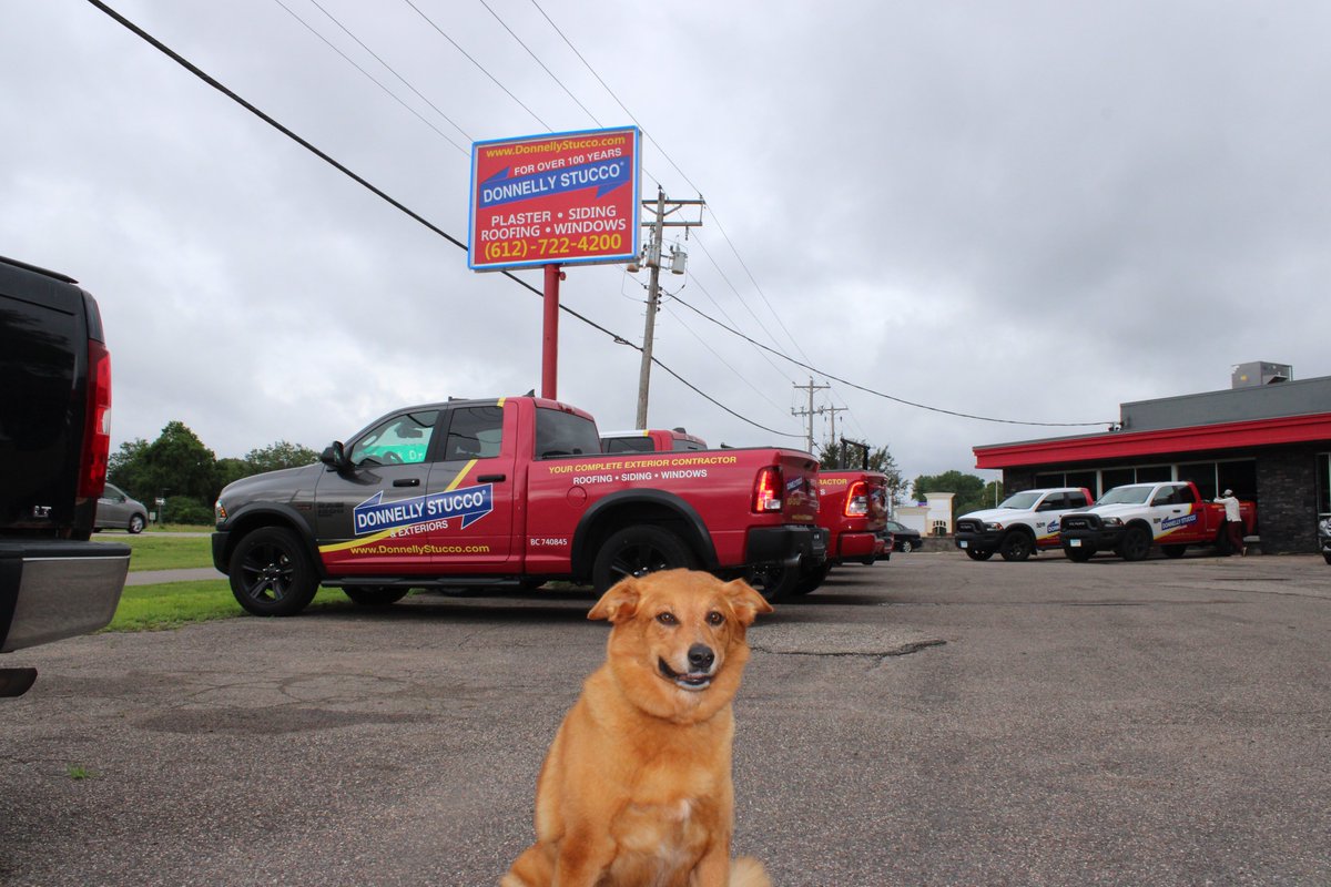 Donnelly_Ext's tweet photo. "Smile, It's Monday Fun Day!"
-Lucy🐶
#mondaymotivation #mondayvibes #officedog #contractor #Minnesota #twincities #roofing #roofingcontractor #stucco #stuccorepair #stuccohouse #siding #sidingcontractor #sidinginstallation #gutters #windows #windowreplacement #plaster https://t.co/hunMtYrn7K
