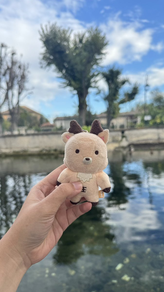 bam in avignon, france 🩰