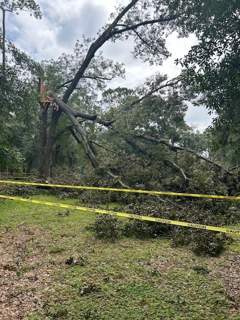 jaxparks's tweet photo. Following Hurricane Helene, if you encounter downed or leaning trees, caution tape, orange fencing, or crews at work, it's critical for your safety to stay clear. Workers might not be able to hear you, &amp; there's risk of injury from flying debris. 

@CityofJax 
#parksandtrails https://t.co/I8DsZjEd0b