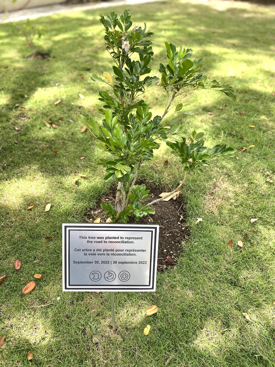 Canada in Barbados and the OECS (@canhcbarbados) on Twitter photo 1/2 This tree was planted to represent the road to reconciliation…
On Friday, <a href="/CanHCBarbados/">Canada in Barbados and the OECS</a> came together to commemorate the National Day for #TruthAndReconciliation, honouring the lost Indigenous children and Survivors of residential schools in Canada. #NDTR 1/2 This tree was planted to represent the road to reconciliation…
On Friday, <a href="/CanHCBarbados/">Canada in Barbados and the OECS</a> came together to commemorate the National Day for #TruthAndReconciliation, honouring the lost Indigenous children and Survivors of residential schools in Canada. #NDTR