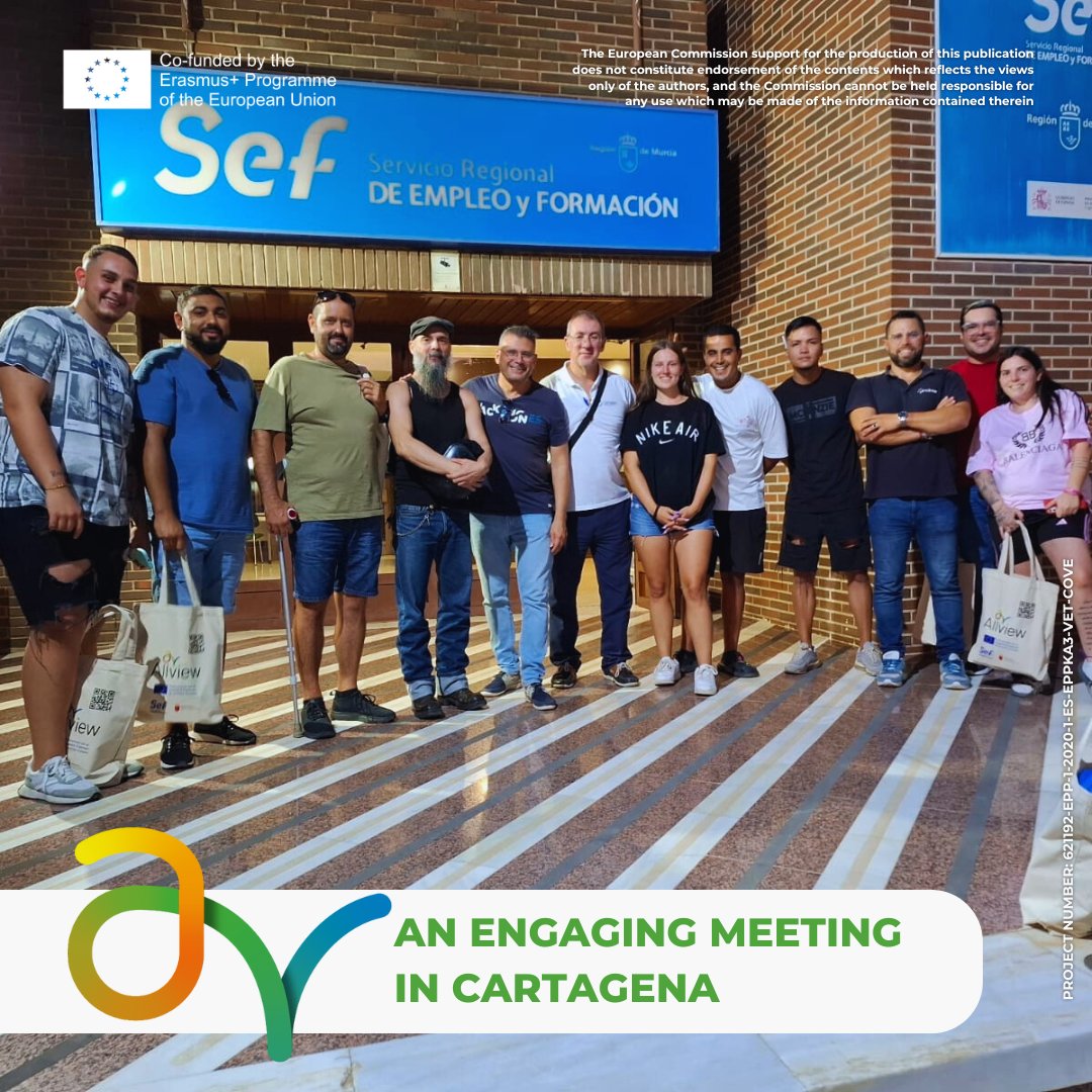 Allview Erasmus+ Vocational Excellence Platform tweet media