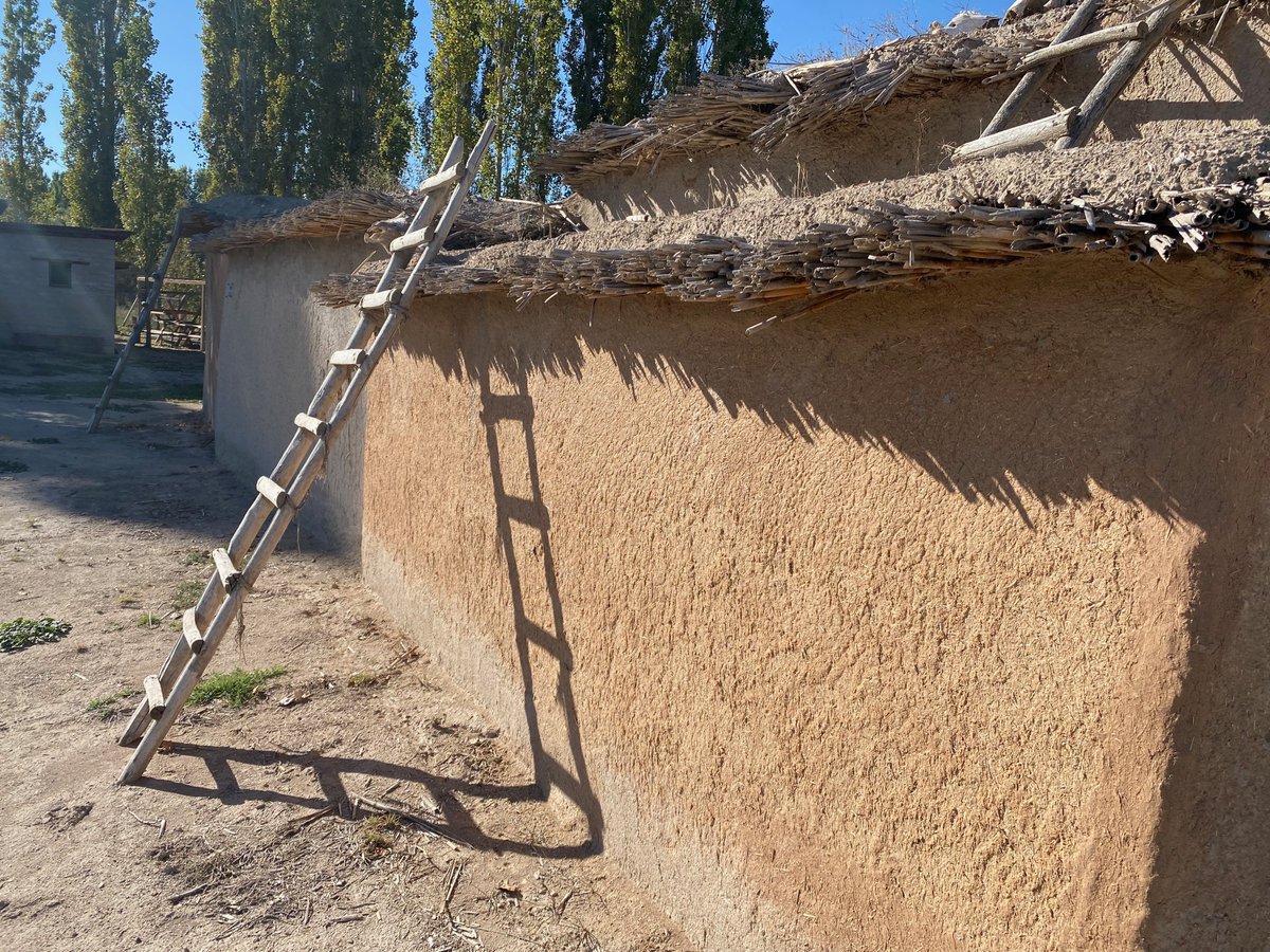 This is why we cats domesticated humans... more at http;//george-online.blogspot.com