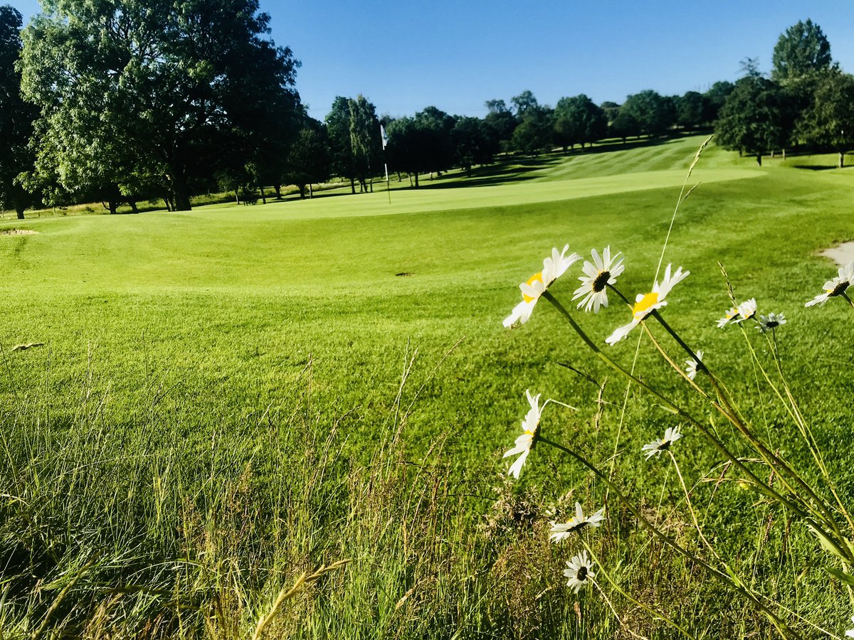 David Behan tweet media