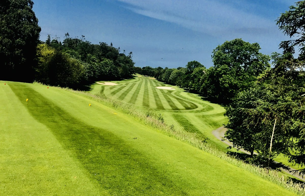 David Behan tweet media