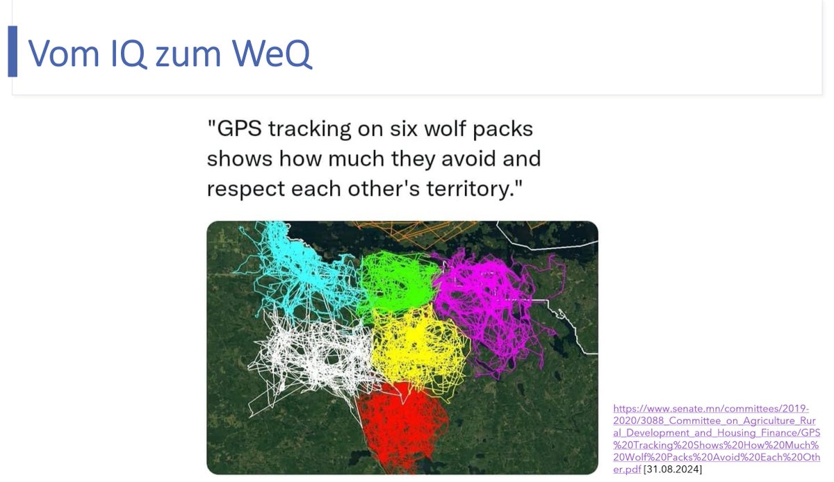 Hauke Pölert tweet media