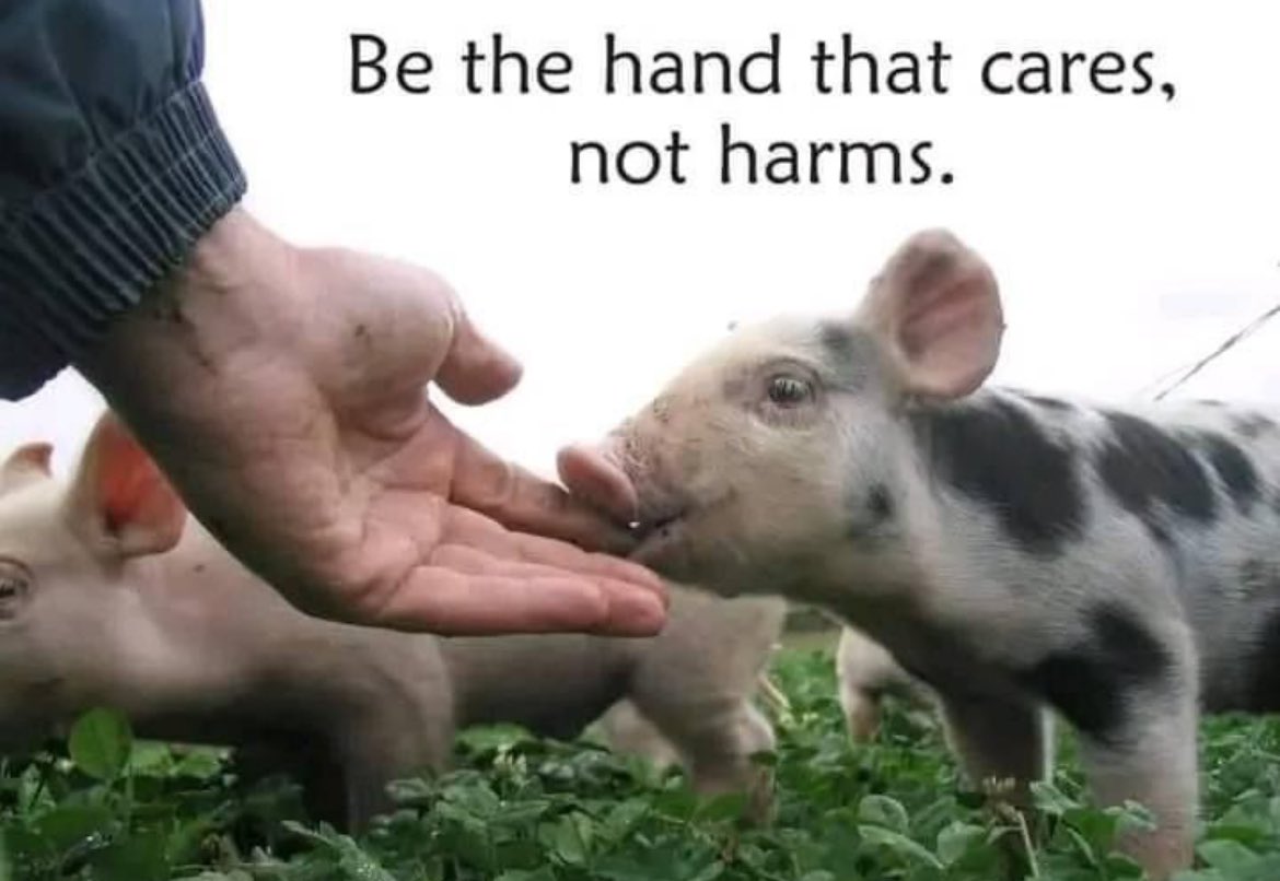 NothingIsArt's tweet image. 