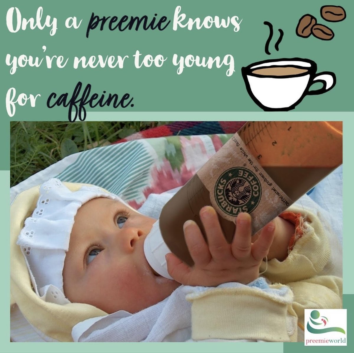 PreemieWorld tweet media