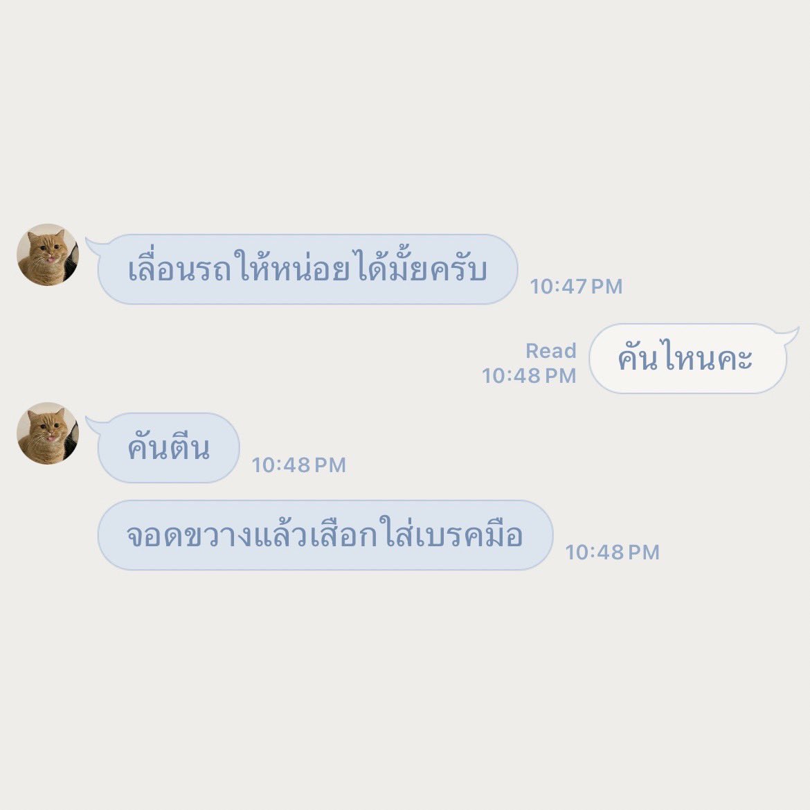 ชอบอันนี้