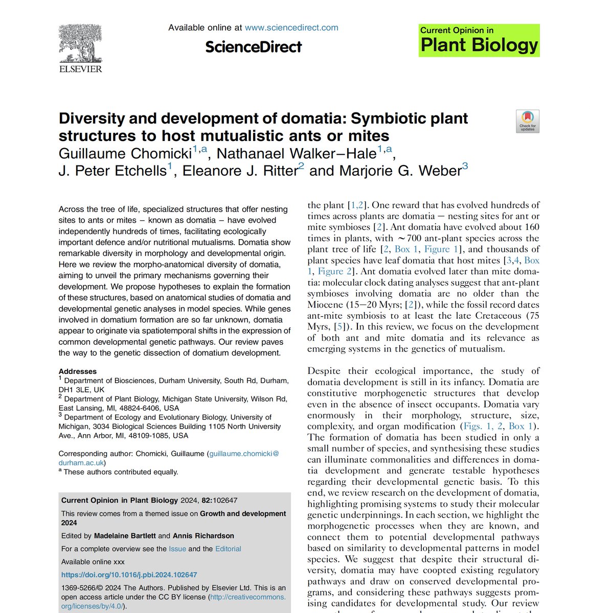 Guillaume Chomicki (@chomicki_g) on Twitter photo How do domatia develops? Fun work w
<a href="/phylonatworks/">Nat Walker-Hale</a>, Peter Etchells, Eleanore J. Ritter, @weber_mg ! We describe the morphological and phylogenetic diversity of these structures and speculate about how these key, often complex mutualistic traits develop
sciencedirect.com/science/articl… How do domatia develops? Fun work w
<a href="/phylonatworks/">Nat Walker-Hale</a>, Peter Etchells, Eleanore J. Ritter, @weber_mg ! We describe the morphological and phylogenetic diversity of these structures and speculate about how these key, often complex mutualistic traits develop
sciencedirect.com/science/articl…