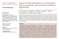 Dr. Geraldine Delbes tweet media