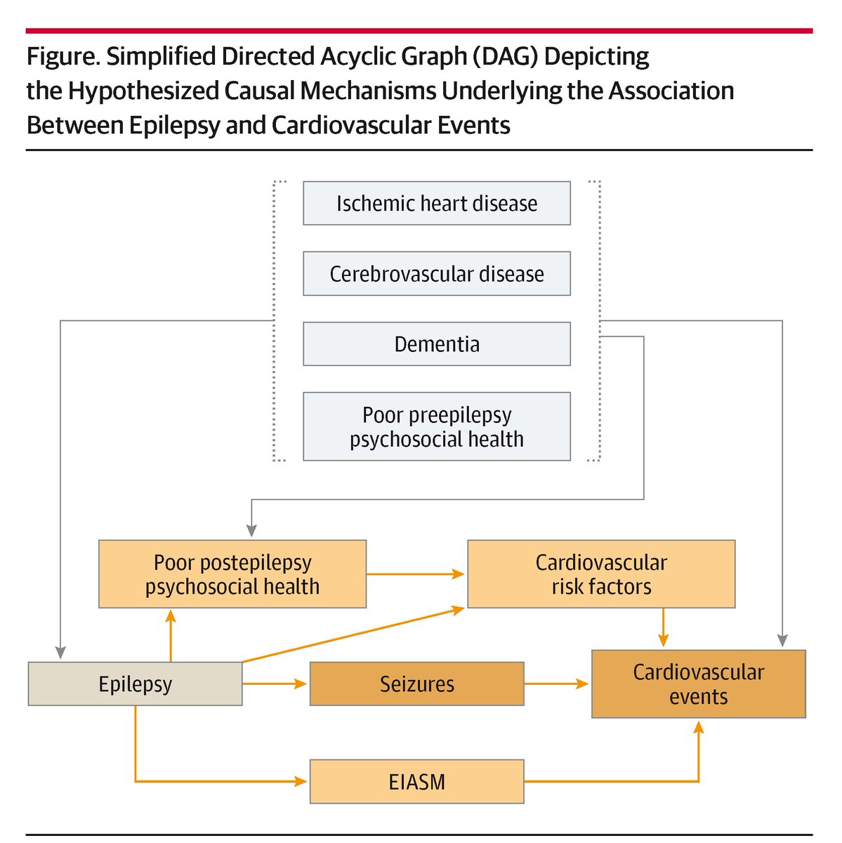 JAMANeuro's tweet photo. Prospective cohort study by @neuroloJimmy et al shows increased cardiovascular events in people with epilepsy, with enzyme-inducing antiseizure medications potentially contributing to nearly one-third of this association. https://t.co/izjNj78hIn https://t.co/niJ8zOcBqm