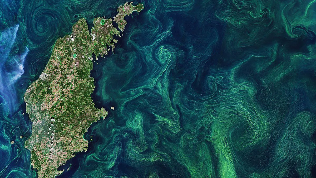 A new study from #WHOI researchers + partners shows that shallow waters make the best #carbonsinks– and deeper, low-oxygen waters are some of the least productive.

Learn more about this <a href="/NSF/">U.S. National Science Foundation</a>  funded research from the <a href="/AGU_Eos/">AGU's Eos</a>: go.whoi.edu/eos-carbonsink