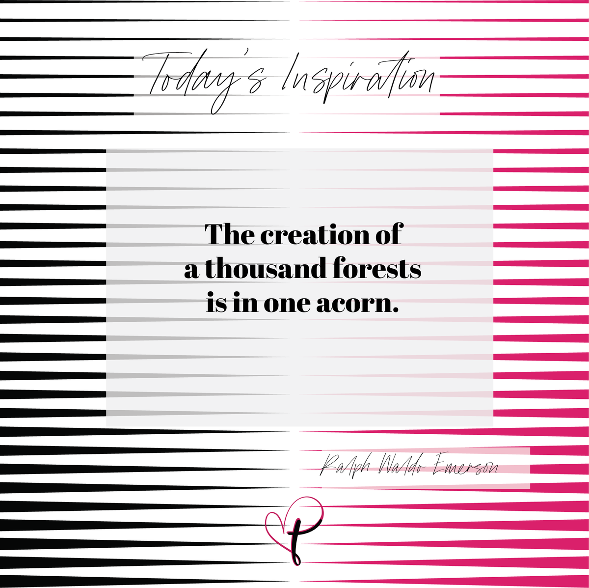 TobyDorrAuthor's tweet photo. Channel your inner acorn, sister! 🌳✨ Don't doubt your ability to create a forest of success. Trust the process, stay golden! #WomenEmpowerment #ConfidenceIsKey #TobyDorr #LivingWithConviction #EscapeYourPrison #FierceGrace. https://t.co/XEeasoVWu0 https://t.co/MuUNHRZI8c