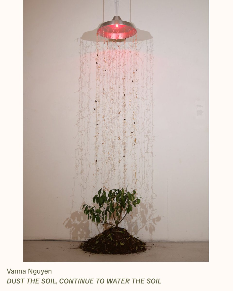 🕊️ Beauty and encouragement for today:

“DUST THE SOIL, CONTINUE TO WATER THE SOIL,” by the Toronto-based multi-disciplinary artist Vanna Nguyen.

Enjoy art, poetry, and updates from The Project via our once-monthly newsletter:
allwecansave.earth/newsletter