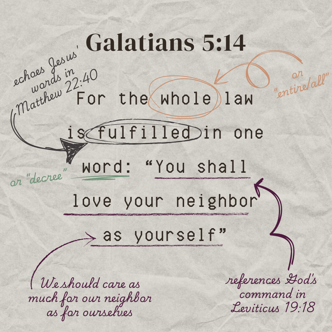 CLC Ministries USA tweet media