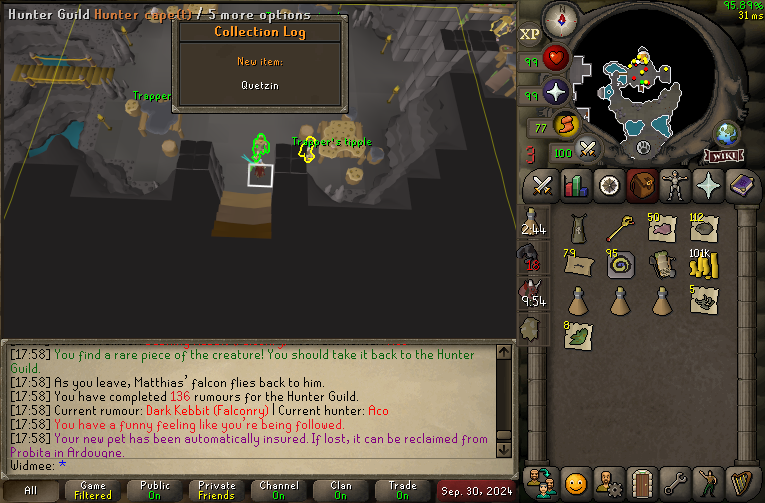 Pet#40