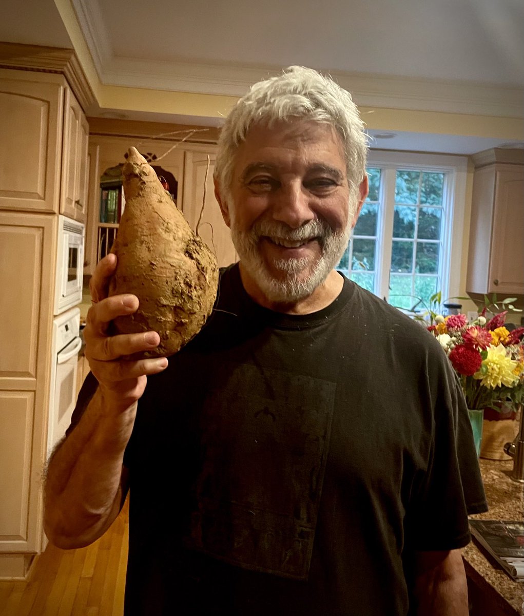 This sweet potato violates the never eat anything bigger than your head rule
