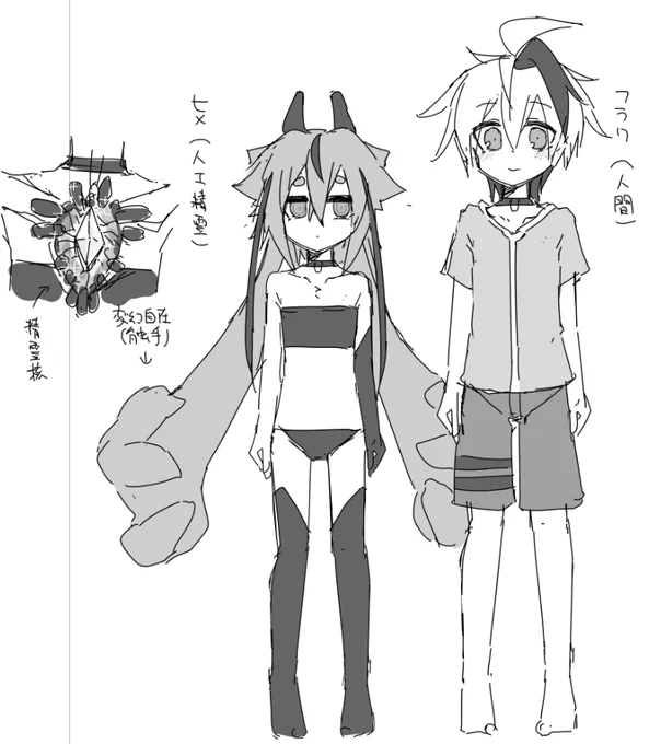 薄い本のヒメ花です 