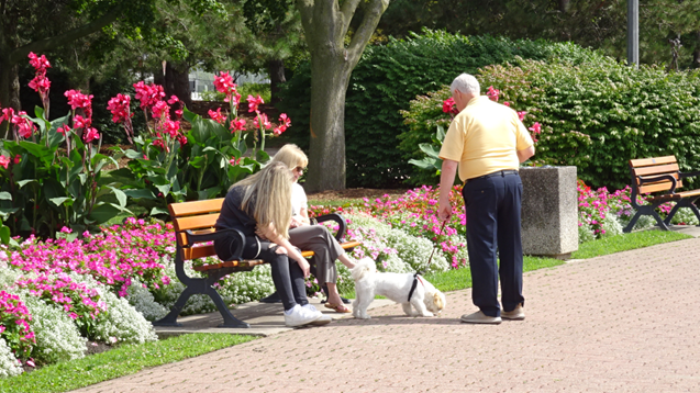 Penalosa_G's tweet image. #Loneliness in Older Adults: nothing replaces In-Person Contact.

In-person contact, even with someone with  weak ties, an acquaintance, was better  than a phone call with a family member or friend.
Important: #proximity, #sidewalks, #parks.
New study U Texas Austin &amp;amp; U Michigan.