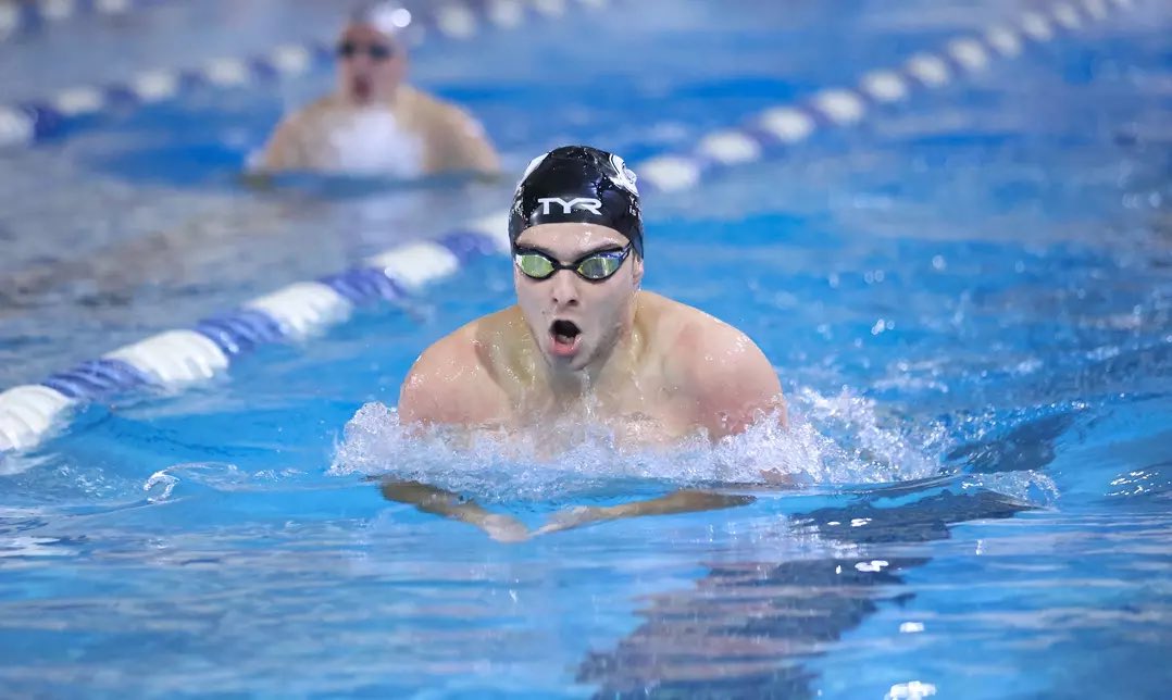 CU Tiger Swim Team tweet media
