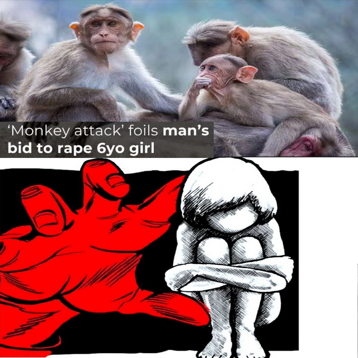 کصخل ژانر مرد و خرس خیلی وقته تموم شده
اینبار رقابت بین مرد و میمون بود، که متاسفانه مردا بازم باختن.😭