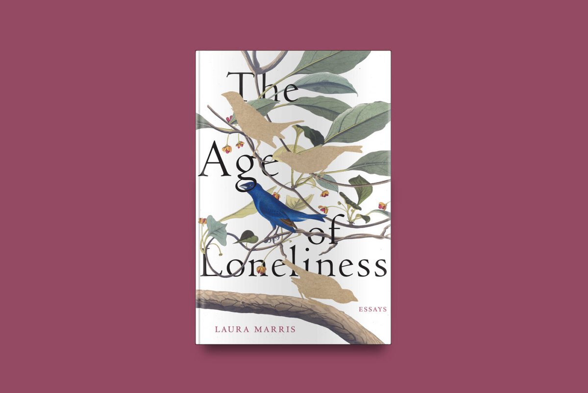 Temple Department of English (@englishattemple) on Twitter photo Interested in environmental lit and ecocriticism? Consider picking up The Age of Loneliness, an essay collection by Laura Marris about humans’ relationship to ecological loss.
A review by <a href="/TempleMFAinCW/">Temple MFA in Creative Writing</a> prof Cara Blue Adams is out now in <a href="/bombmagazine/">BOMB Magazine</a>!
bombmagazine.org/articles/2024/… Interested in environmental lit and ecocriticism? Consider picking up The Age of Loneliness, an essay collection by Laura Marris about humans’ relationship to ecological loss.
A review by <a href="/TempleMFAinCW/">Temple MFA in Creative Writing</a> prof Cara Blue Adams is out now in <a href="/bombmagazine/">BOMB Magazine</a>!
bombmagazine.org/articles/2024/…