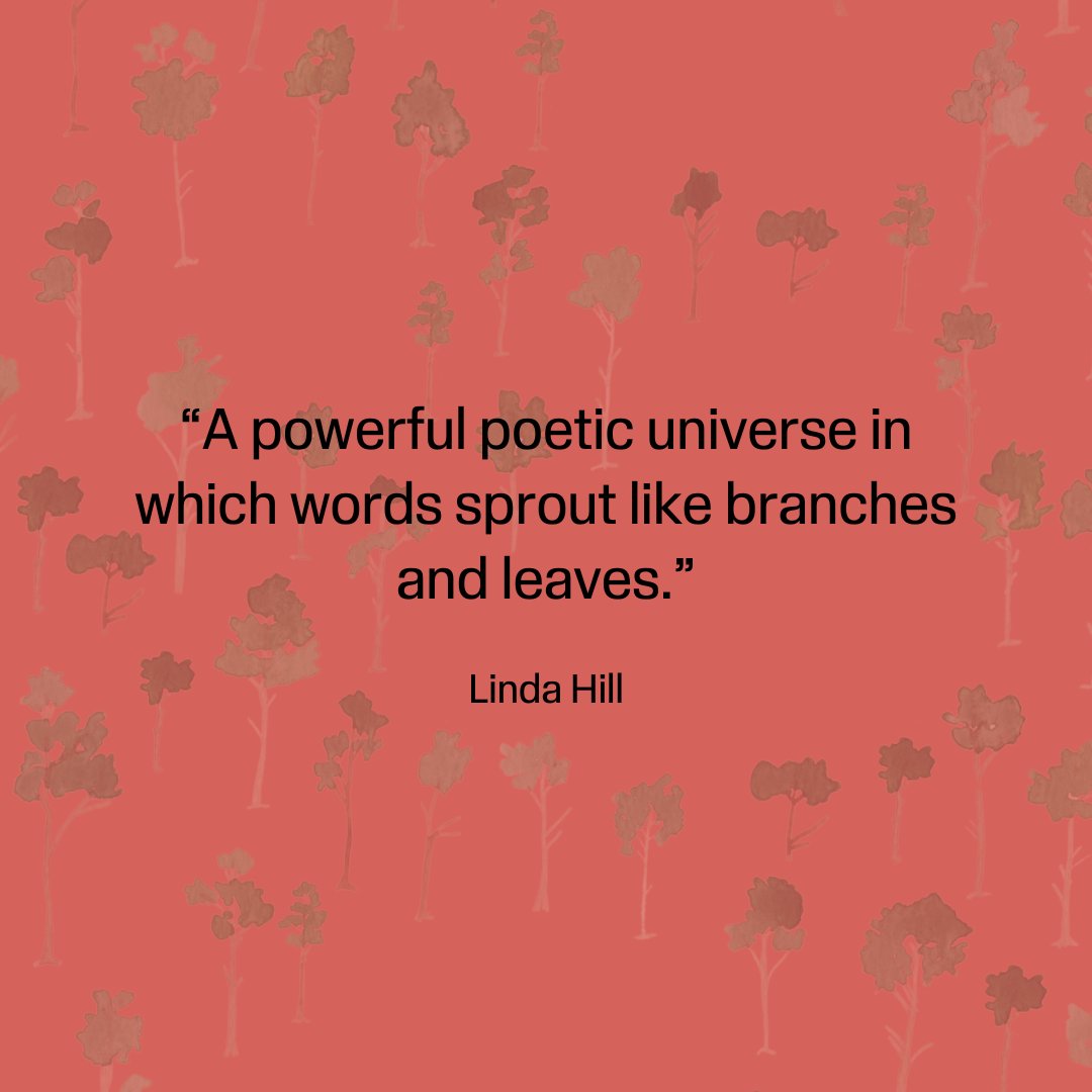 Whitefox Publishing (@wearewhitefox) on Twitter photo Sharing some of the wonderful praise <a href="/faremoforesta/">Ilaria Bernardini</a> received for 'We Will Be Forest' 🌿✨#WeWillBeForest #BookQuotes #IlariaBernardini <a href="/Lindahill50Hill/">Linda Hill</a> <a href="/thereadingpara/">Jules Swain</a> Sharing some of the wonderful praise <a href="/faremoforesta/">Ilaria Bernardini</a> received for 'We Will Be Forest' 🌿✨#WeWillBeForest #BookQuotes #IlariaBernardini <a href="/Lindahill50Hill/">Linda Hill</a> <a href="/thereadingpara/">Jules Swain</a>