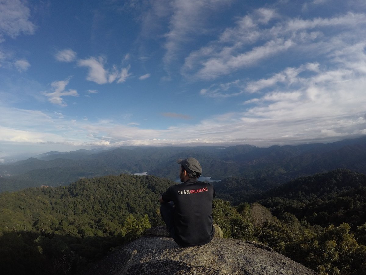 Cikgu Compress tweet media