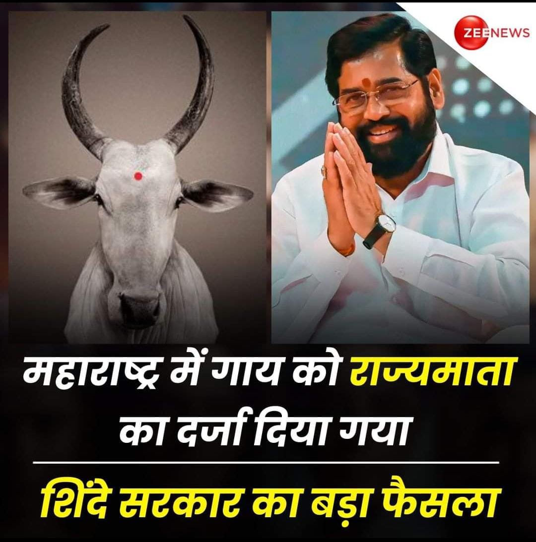 इस तरह गोमूत्र जैविक खेती पद्धति के महत्व को देखते हुए गाय को अब से राज्यमाता घोषित किया जा रहा है

#Cow #Maharashtra #Eknath_Shinde #StateMother #RajyaMata | #ZeeNews

धन्यवाद महाराष्ट्र सरकार। 💐