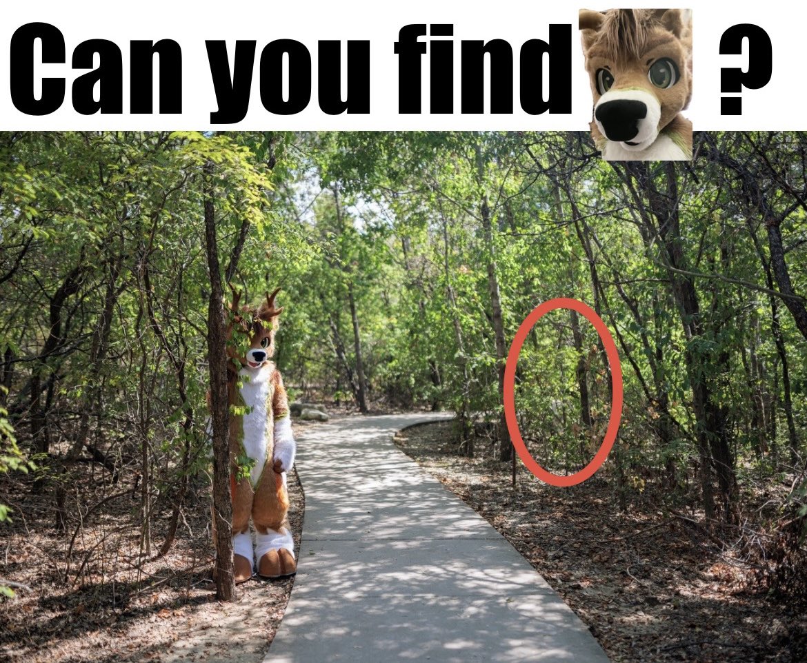 DeerCypress's tweet image. 