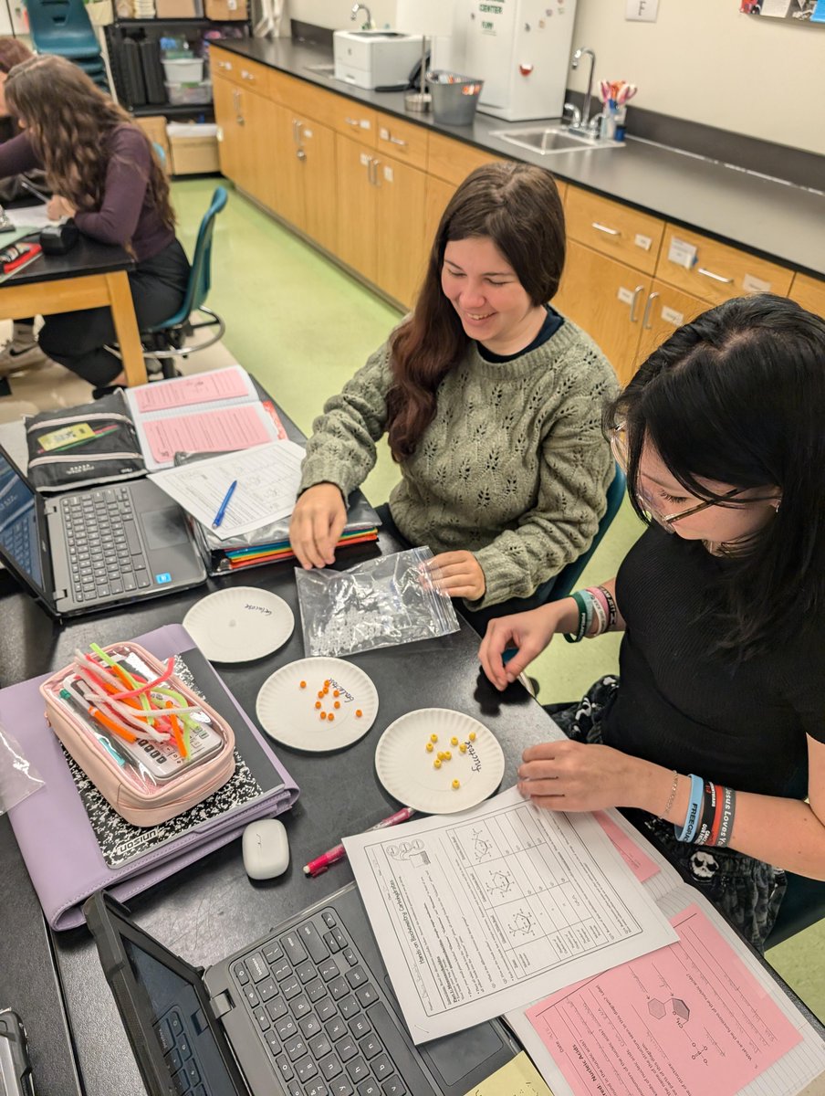 AP biology has been busy investigating biomolecules over the past few weeks with different experiments and model building! #Science #SpectrumSting