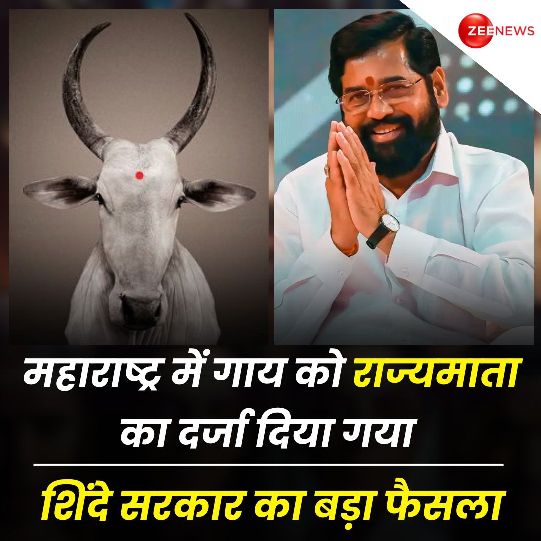 S_S_Sanchori's tweet photo. #Cow #Maharashtra #EknathShinde #StateMother #RajyaMata | #ZeeNews https://t.co/3GxnwEuBYu