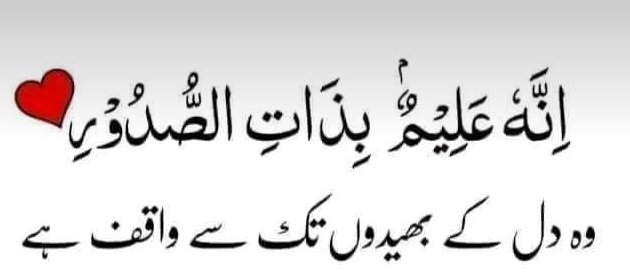 Beshk It's true words 💯💯💯💯