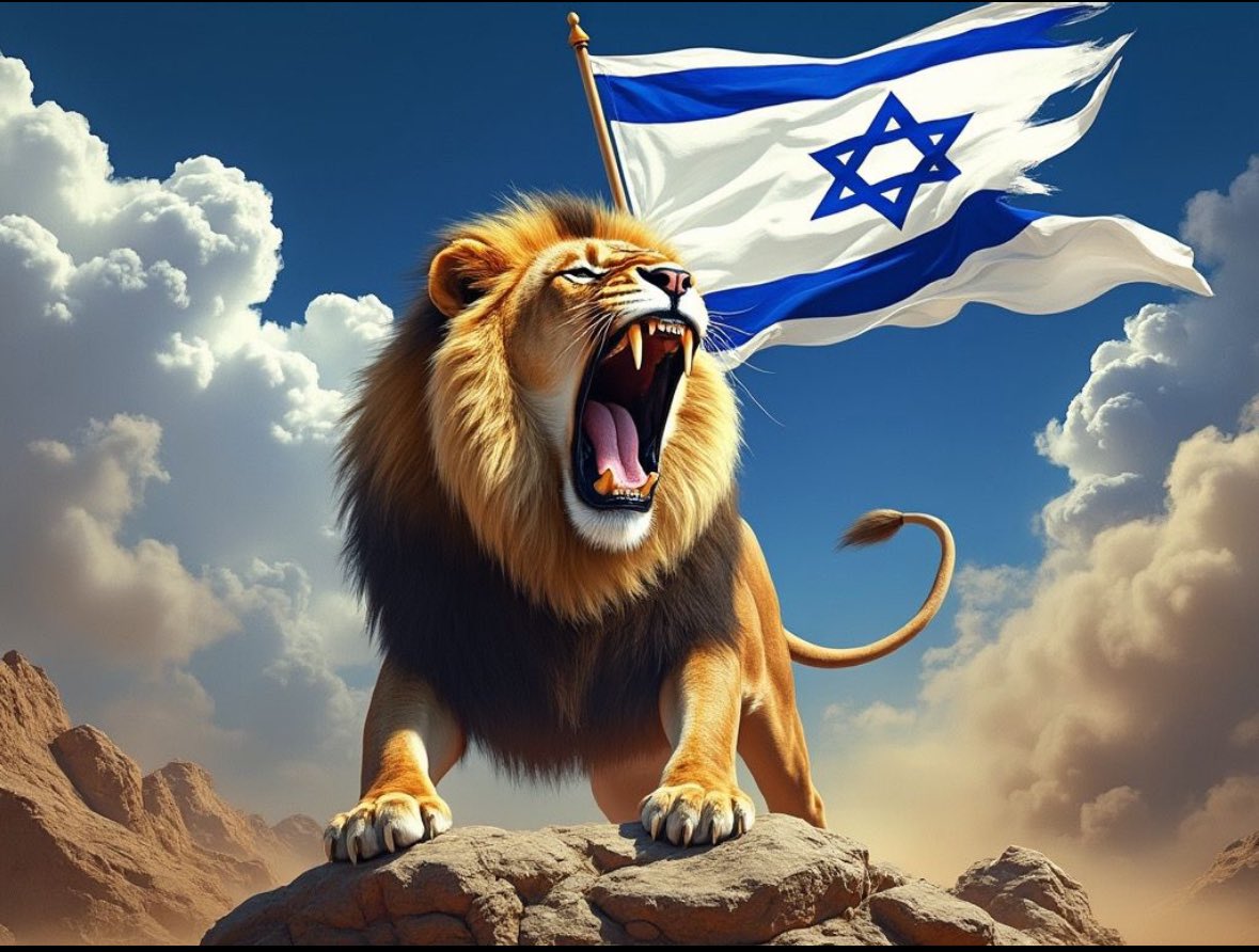 إيدي كوهين אדי כהן 🇮🇱 tweet media