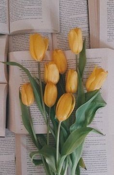 l5l__3's tweet photo. ᥫ᭡ 
 هـدوء المساء محمل بقائمة أمنيات طويلة لا نهاية لها..
اللهم أڪتب لنا منها الخير وڪل ما لم يرد على بالنا 🤲🏻
#مساء_الخير_والسعاده_للجميع 
#الـﻏـيث
@l5l__3 https://t.co/9StI7swjk4